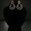 Radiant  Blue and Golden Earrings (ER0014) - Image 4