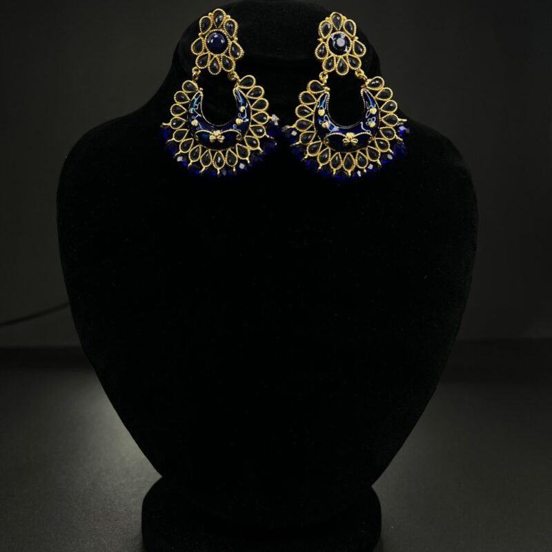 Radiant  Blue and Golden Earrings (ER0014) - Image 4