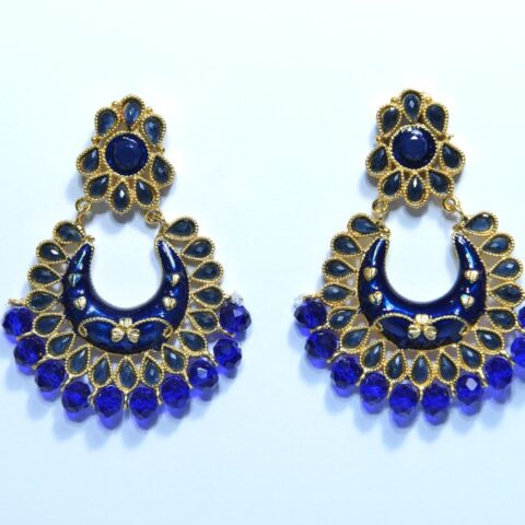 Radiant  Blue and Golden Earrings (ER0014)